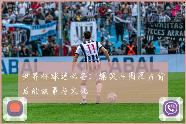 世界杯球迷必备:爆笑斗图图片背后的故事与文化