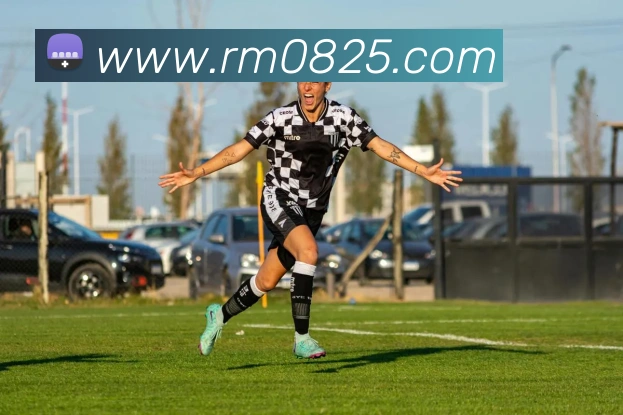 九游网页版入口登录平台生态图